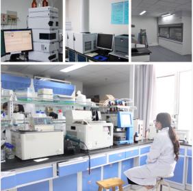 Article illustration