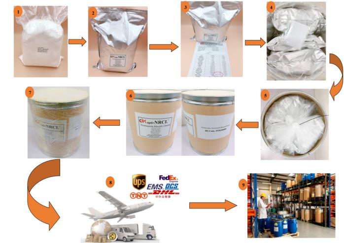 Article illustration