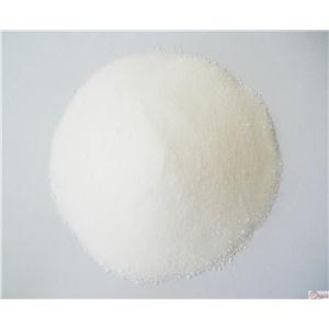 奥美拉唑氮氧化物 176219-04-8