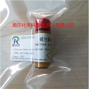 碱性磷酸酶 (来源牛肠粘膜)
