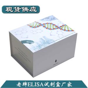 人K-Ras(K-Ras)ELISA试剂盒