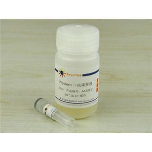 异硫氰酸荧光素标记ANTI-AIF抗体(标记抗体)