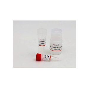 Abstart抗体修饰热启动酶