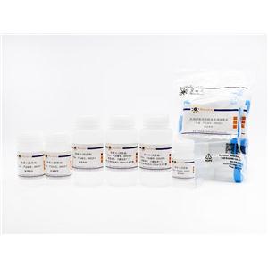 质粒大量抽提试剂盒(通用型)