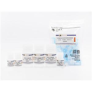 质粒小量抽提试剂盒(通用型)