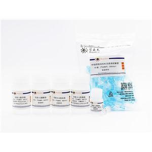 质粒中量抽提试剂盒