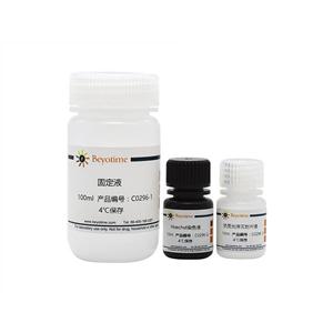 支原体染色检测试剂盒