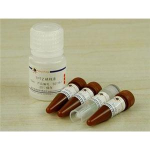 总抗氧化能力检测试剂盒(FRAP法)