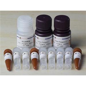 总一氧化氮检测试剂盒