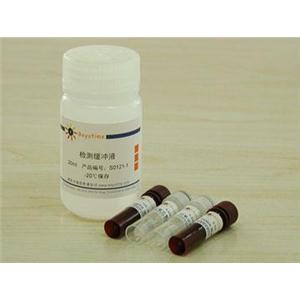 总抗氧化能力检测试剂盒(ABTS快速法)