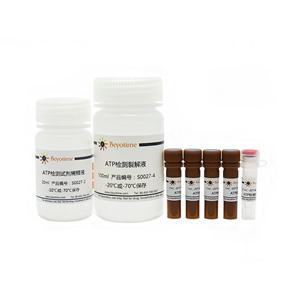 增强型ATP检测试剂盒