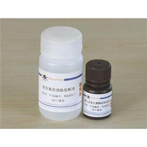 萤火虫萤光素酶报告基因检测试剂盒