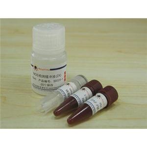 一氧化氮合成酶检测试剂盒(荧光法)