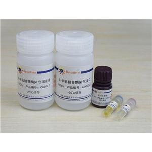 细胞衰老β-半乳糖苷酶染色试剂盒