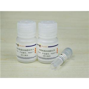 细胞核蛋白与细胞浆蛋白抽提试剂盒