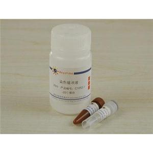 细胞周期与细胞凋亡检测试剂盒