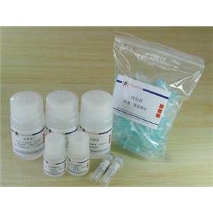 细胞凋亡－DNA Ladder抽提试剂盒(离心柱式)