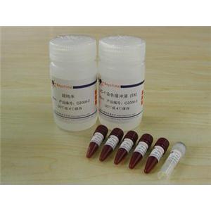 线粒体膜电位检测试剂盒(JC-1)