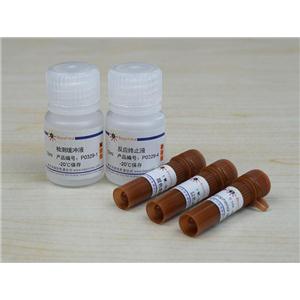 胎盘碱性磷酸酶检测试剂盒