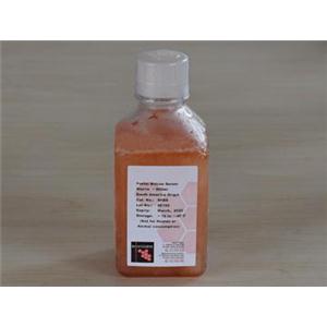 胎牛血清(Bovogen原装, 产地南美)