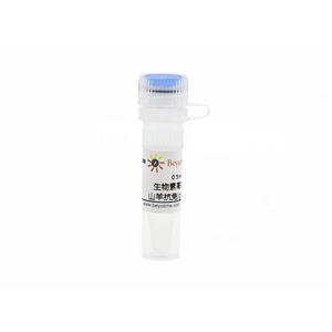 生物素高效标记山羊抗兔IgG(H+L)