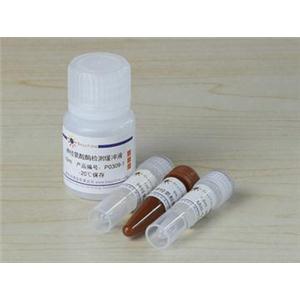 神经氨酸酶抑制剂筛选试剂盒