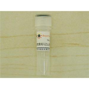 生物素标记山羊抗兔IgG(H+L)