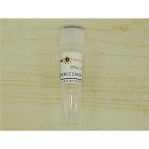 生物素标记EMSA探针－PPAR (0.2μM)