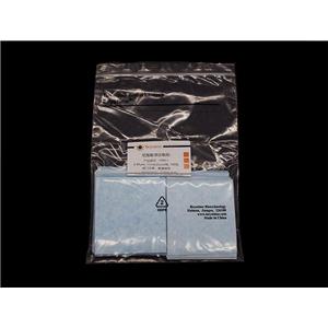 尼龙膜(带正电荷, 进口分装, 7.5×8.25cm, 0.45μm)