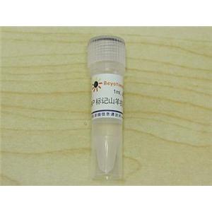 辣根过氧化物酶标记山羊抗人IgG(H+L)