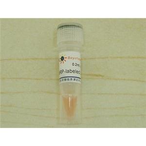 辣根过氧化物酶标记Streptavidin