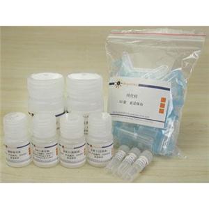 酵母质粒小量抽提试剂盒