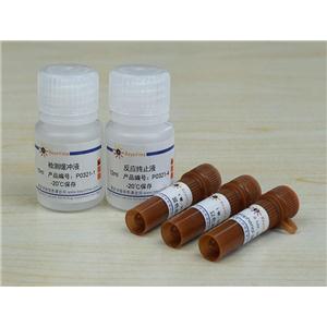 碱性磷酸酶检测试剂盒