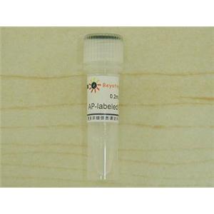 碱性磷酸酯酶标记Streptavidin