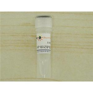 碱性磷酸酯酶标记驴抗山羊IgG(H+L)