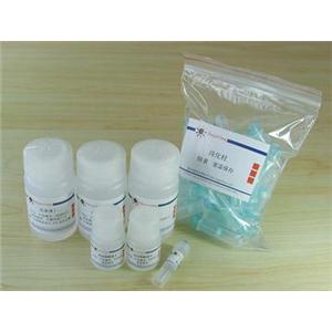 基因组DNA小量抽提试剂盒(离心柱式)