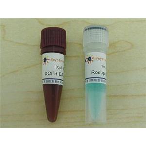 活性氧检测试剂盒