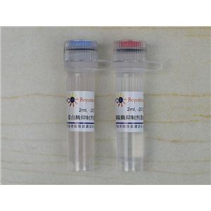 蛋白酶磷酸酶抑制剂混合物(植物样品抽提用, 50X)