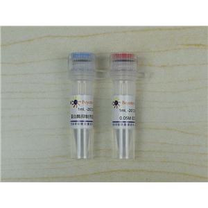 蛋白酶抑制剂混合物(通用型, 质谱兼容, 50X)