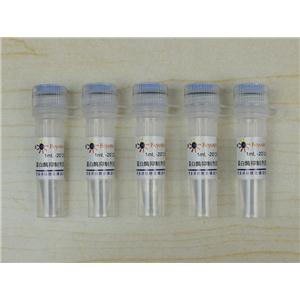 蛋白酶抑制剂混合物(真菌或酵母抽提用, 100X)