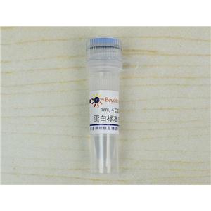 蛋白标准(5mg/ml BSA)