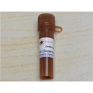YM155 (Sepantronium Bromide) (Survivin抑制剂)
