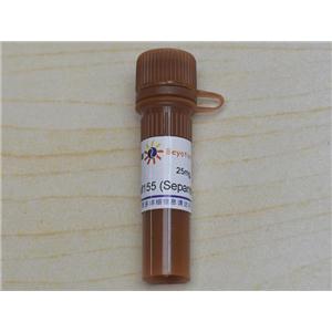 YM155 (Sepantronium Bromide) (Survivin抑制剂)