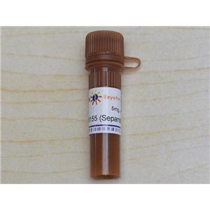 YM155 (Sepantronium Bromide) (Survivin抑制剂)
