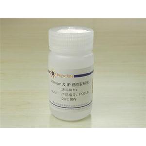 Western及IP细胞裂解液(无抑制剂)