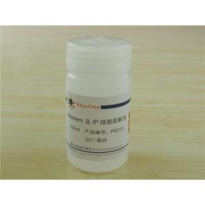 Western及IP细胞裂解液