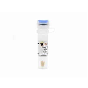 WAY100635 (5-HT1A拮抗剂)