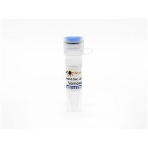 Vorinostat (SAHA) (HDAC抑制剂)