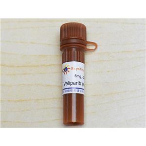 Veliparib (ABT-888) (PARP1抑制剂)