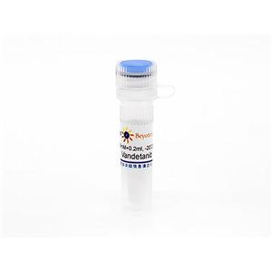 Vandetanib (VEGFR抑制剂)